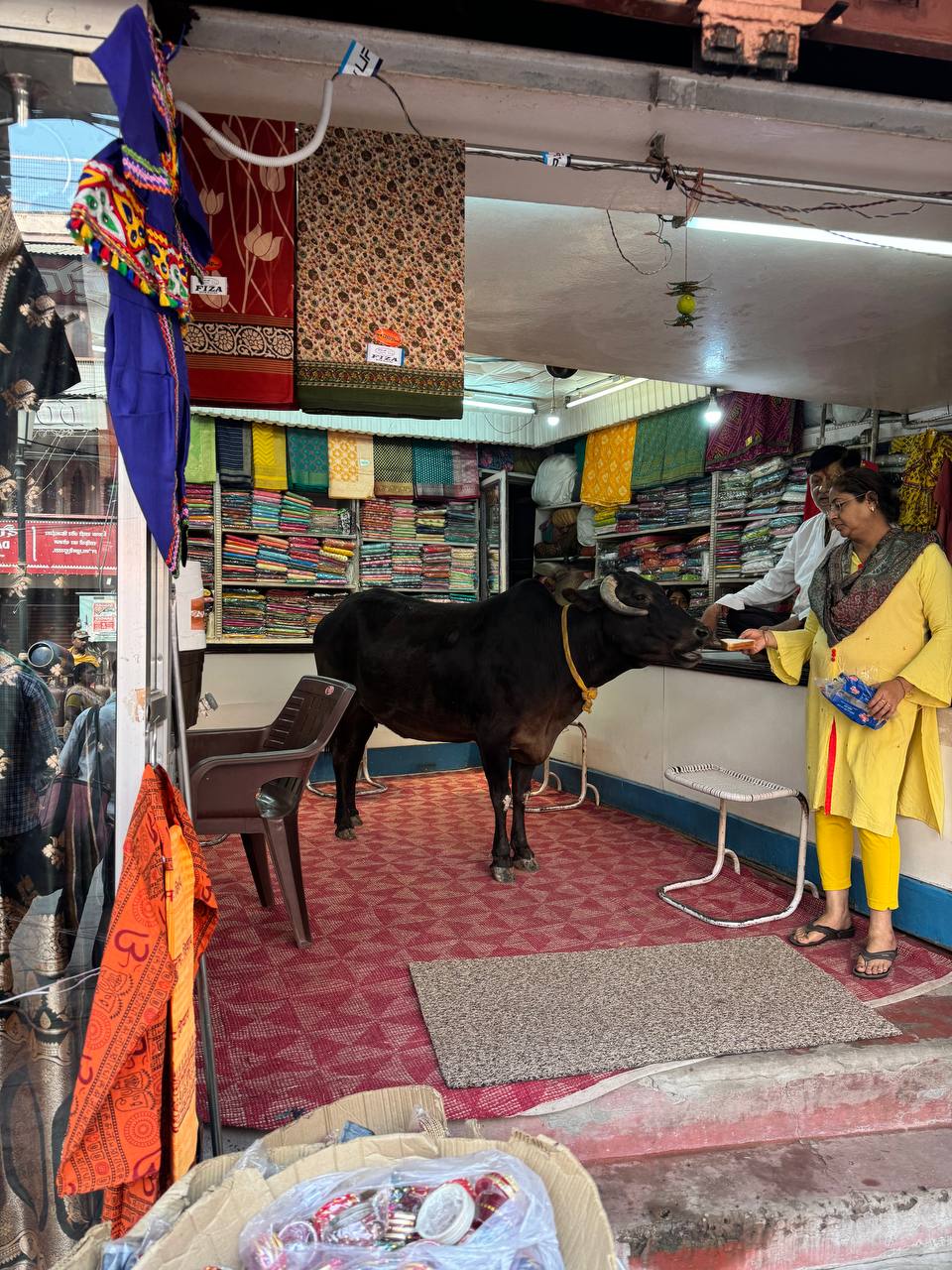 Индия, Варанаси 2024 23