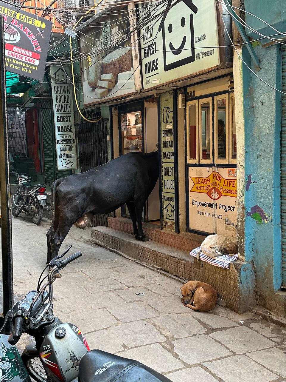 Индия, Варанаси 2024 27