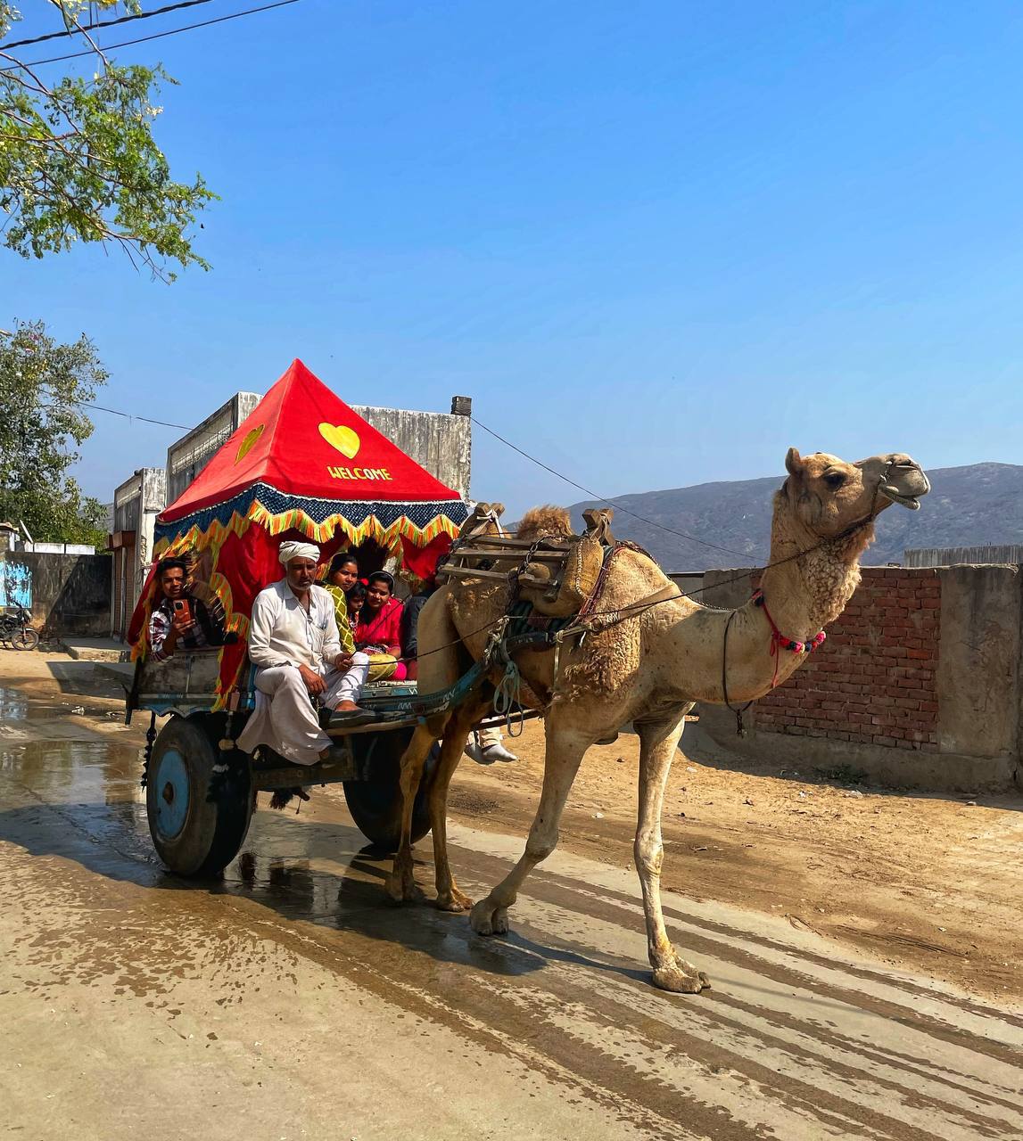 Индия, Маха Шиваратри 2025 2