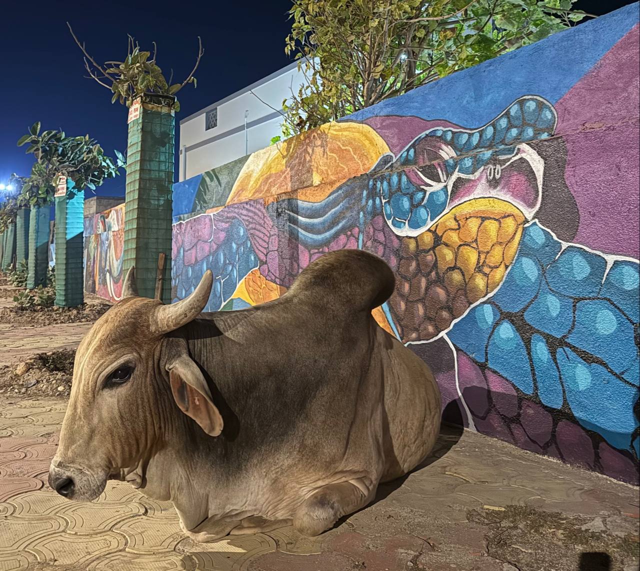 Индия, Маха Шиваратри 2025 10