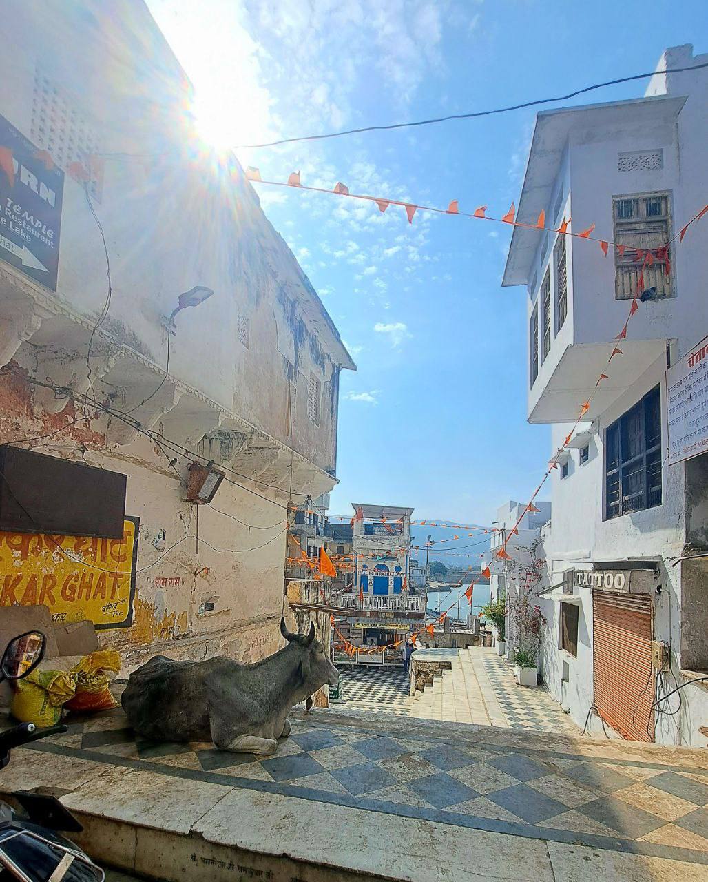 Индия, Маха Шиваратри 2025 14