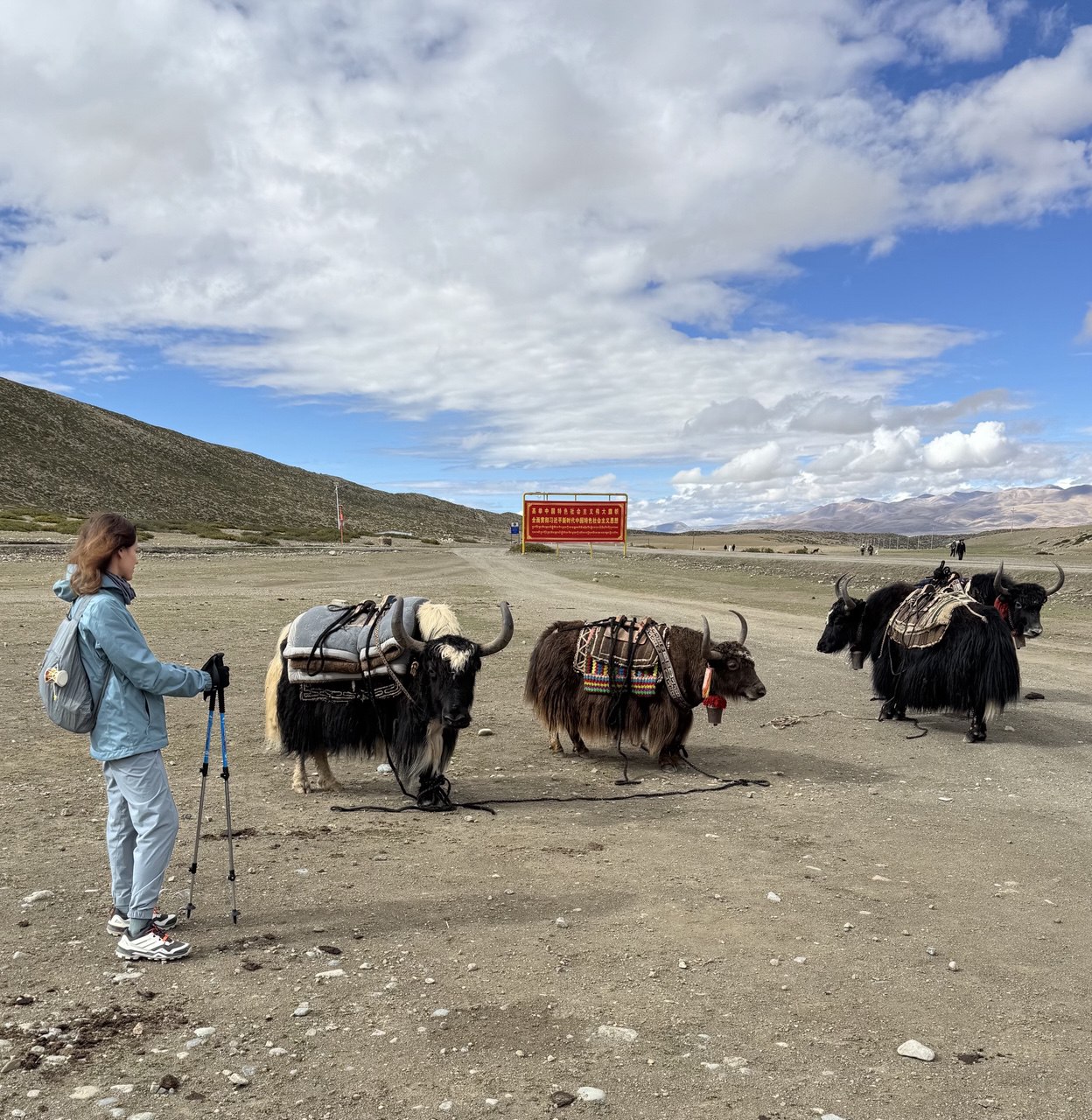 Кайлаш, июнь 2025 26