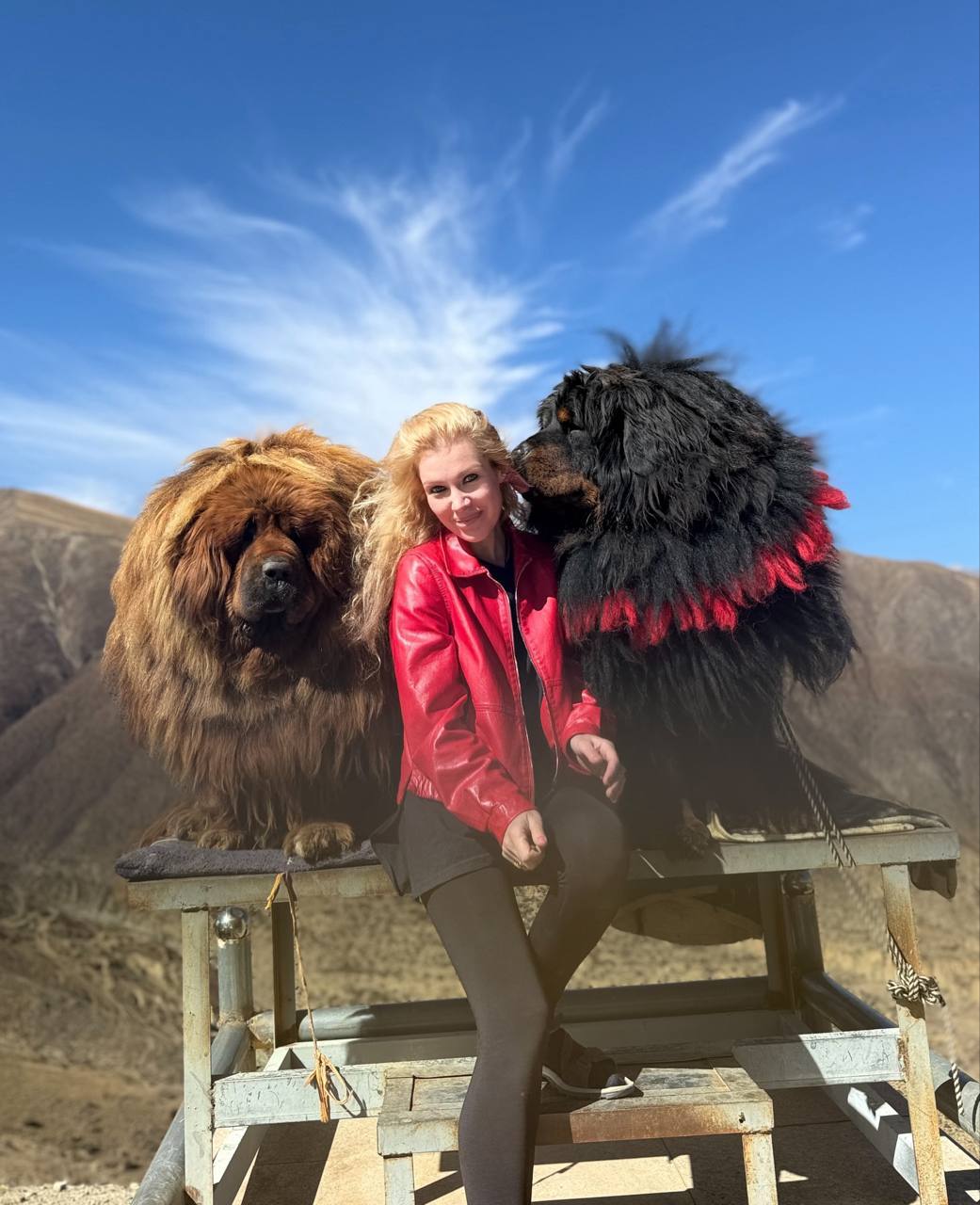 Лхаса,Тибет осень 2025 2