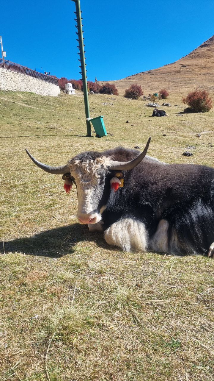 Лхаса,Тибет осень 2025 14