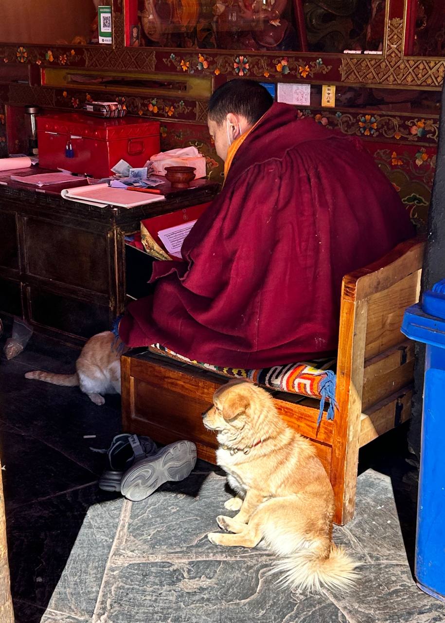 Лхаса,Тибет осень 2025 24