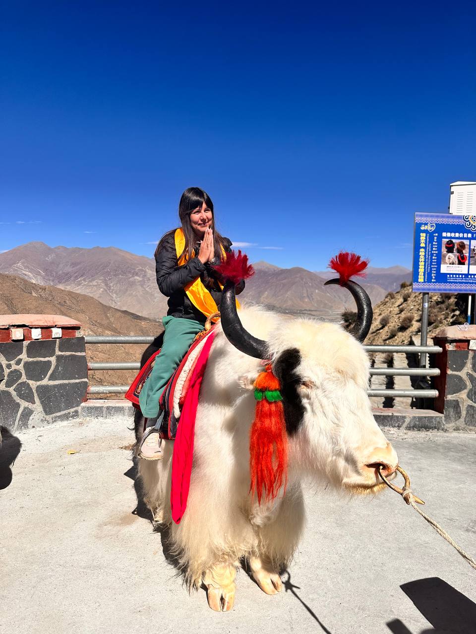 Лхаса,Тибет осень 2025 27