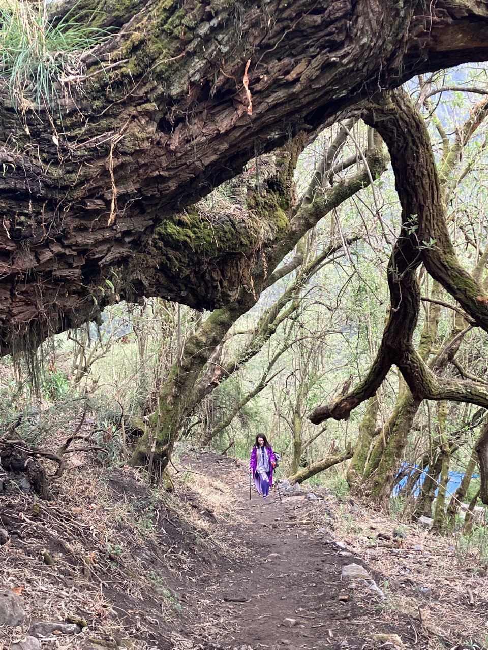 Непал, Госаикунда трек 2023 7